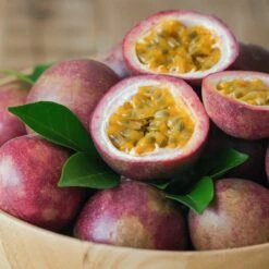 Fruit De La Passion Frederick