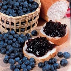 Collection De 4 Arbustes à Fruits Vitaminés -Plantes Soldes Boutique 104035 5