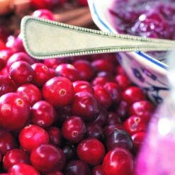 Collection De 4 Arbustes à Fruits Vitaminés -Plantes Soldes Boutique 104035 6