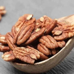 Pacanier - Noix De Pécan -Plantes Soldes Boutique jar 107107 3